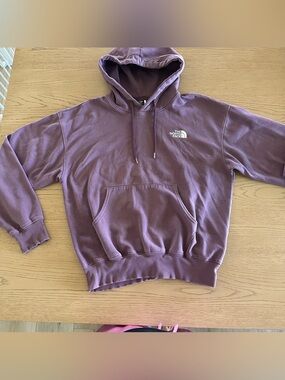 The North Face Men's Evolution Vintage‎ Hoodie in Midnight Mauve